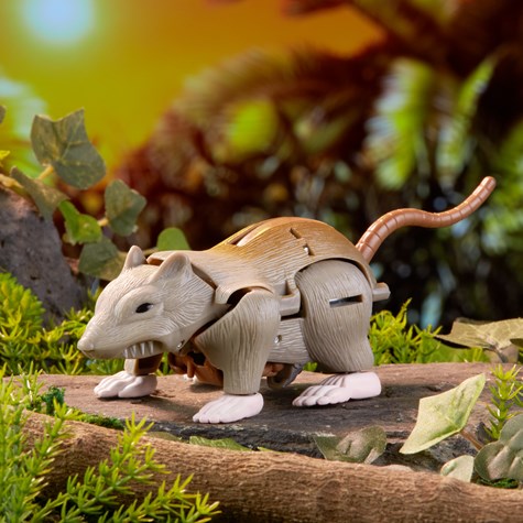 TF 2021 BW �ˎގݎÎ����� �׎��ĎĎ׎��̎�