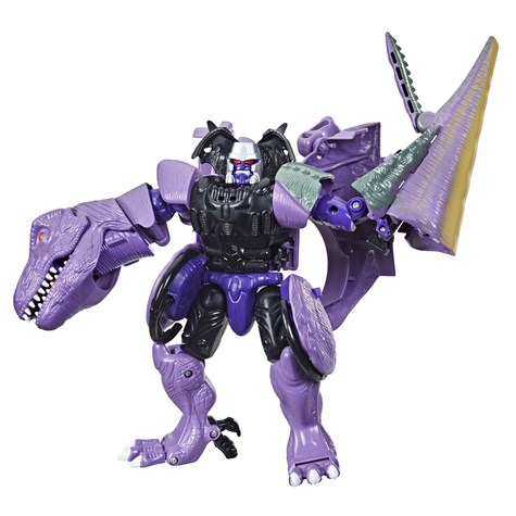 TF 2021 BW �ˎގݎÎ����� T-�ڎ����� �Ҏ��ގĎێ�