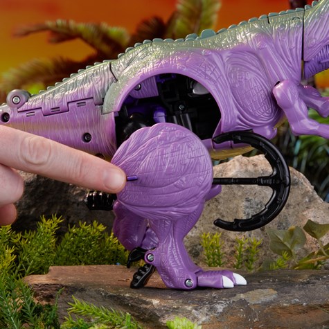 TF 2021 BW �ˎގݎÎ����� T-�ڎ����� �Ҏ��ގĎێ�