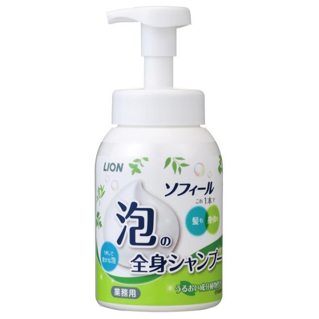 �饤���󡡥��ե����롡ˢ�����ȥ����ס���500mL��12���������������䤪���ѡڼ��󤻾��ʡ�¨Ǽ�Բġ�
