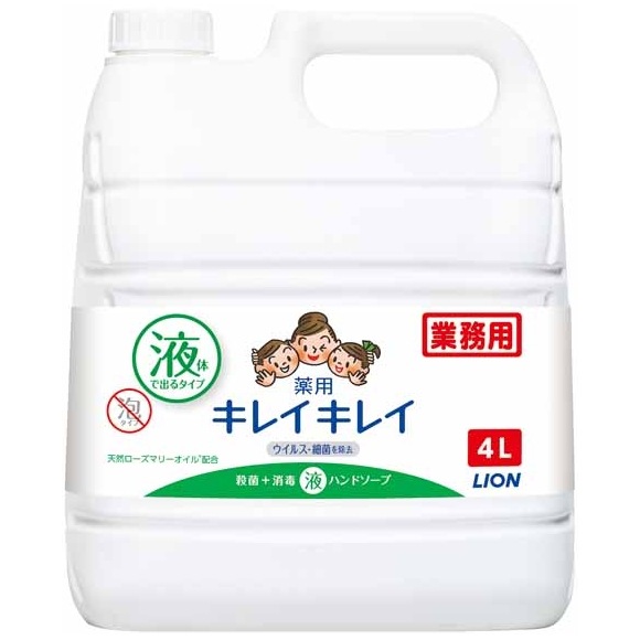 �饤���󡡥��쥤���쥤���ѱ��Υϥ�ɥ����ס�4L