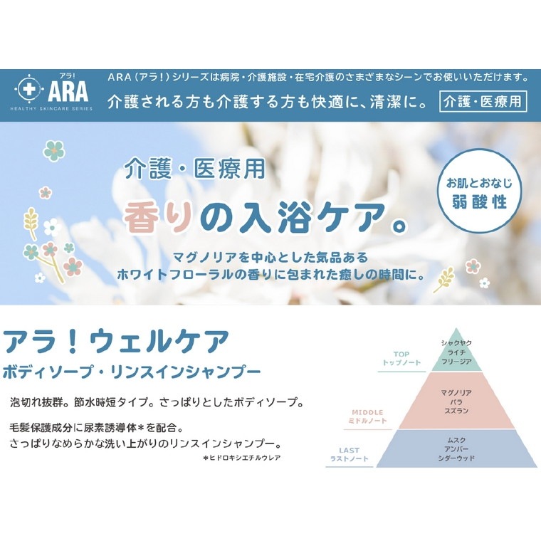 �ե��˥å�����ARA�����顪�������륱����󥹥��󥷥��ס���18L�ڼ��󤻾��ʡ�¨Ǽ�Բġ�������Բġ������Բġ�