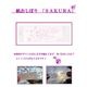 ��ˡ���͸���ۻ椪���ܤꡡ�ե�å���ᥤ�ȡ�SAKURA�������顡ʿ��1500�����ڥ᡼����ľ����������Բġ����ֻ����Բġ����졢Υ���Բġ�