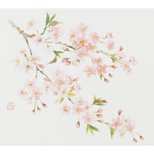 �ơ��֥�ޥåȡ�E�����ס�No.84������100��