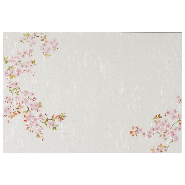 ơ֥ޥåȡT-1081(4)100ڼ󤻾ʡ¨ǼԲġ