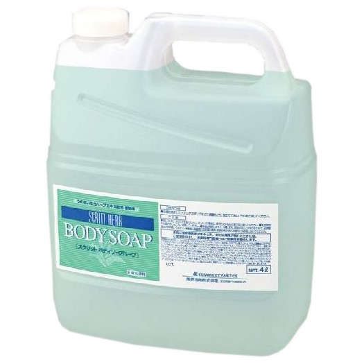 ������åȡ��ܥǥ������ס�4L��4��������4255�ڥ᡼����ľ����������Բġ����ֻ����Բġ����졢Υ���Բġ�
