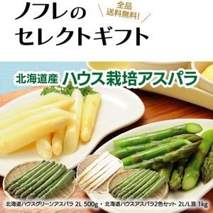 �̳�ƻ���ϥ������ݥ����ѥ�