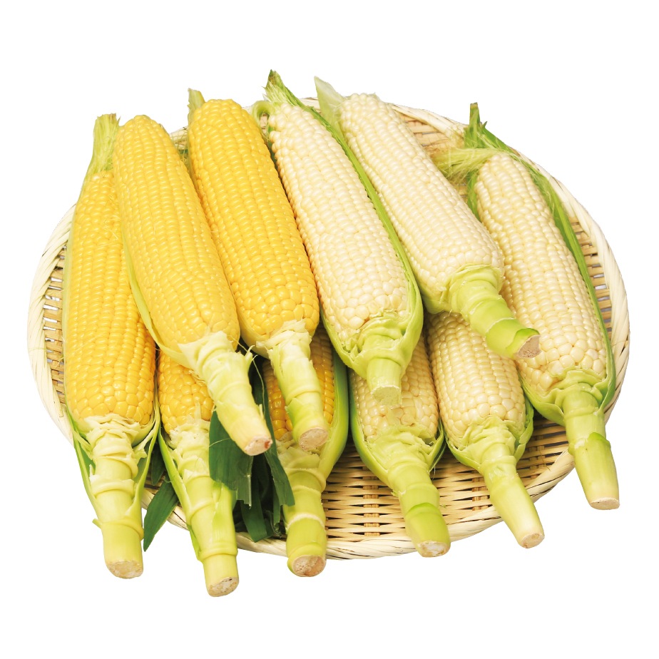 ͽʡ̳ƻȤ ڻ ޤǤԥ奢ۥ磻10ܥåȡȯ֡8/22()9ܡ