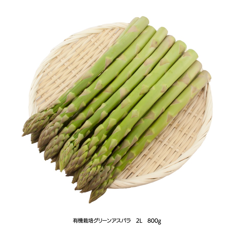 ���������ͭ�����ݥ����ѥ�