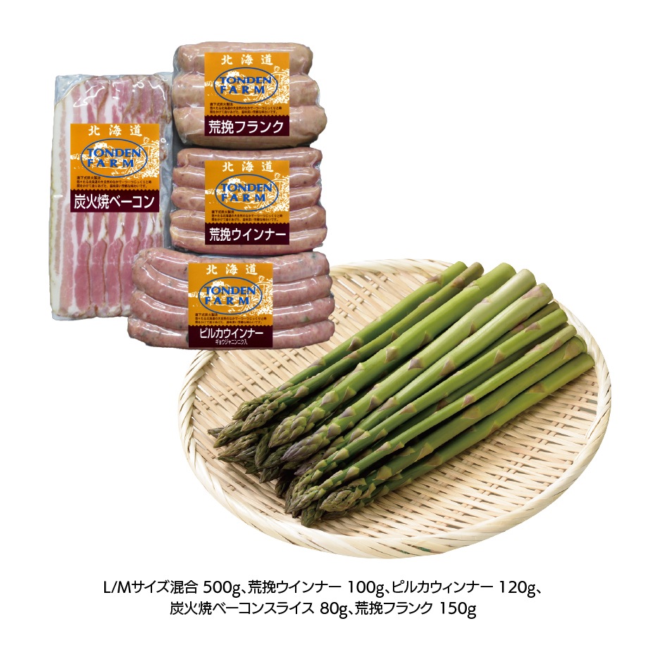 �̳�ƻ�����ѥ饰��᥻�å�