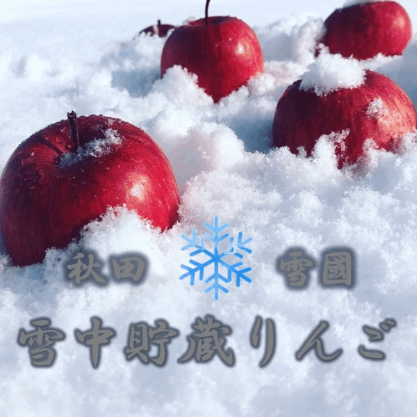 【即日発送】 雪中貯蔵りんご | お米・果物・野菜・加工食品 | 秋田ずらり その他