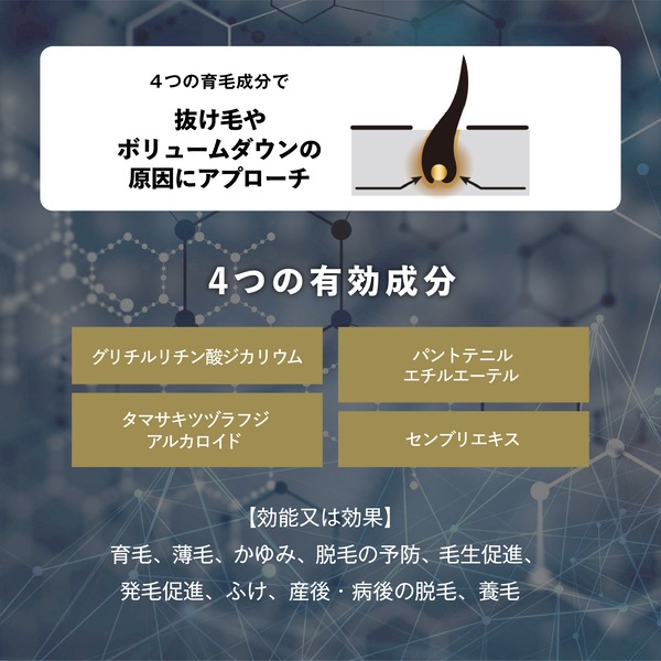 ӺޡWILDERMAN 磻ޥ