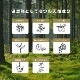 ӺޡWILDERMAN 磻ޥ