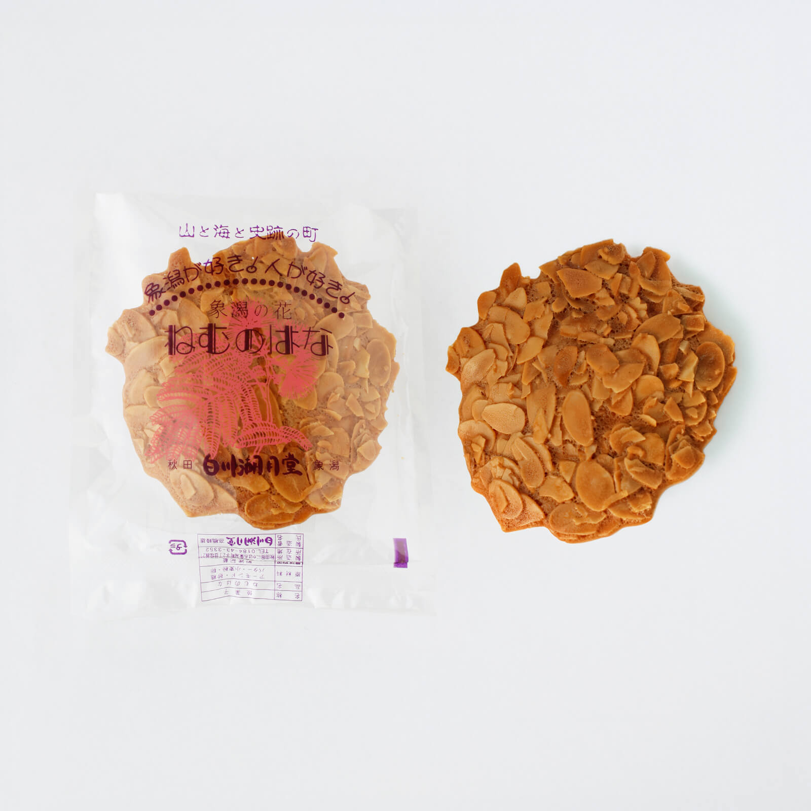 �ڥѥƥ����꡼����ۤͤ�ΤϤʡ�10���1Ȣ��