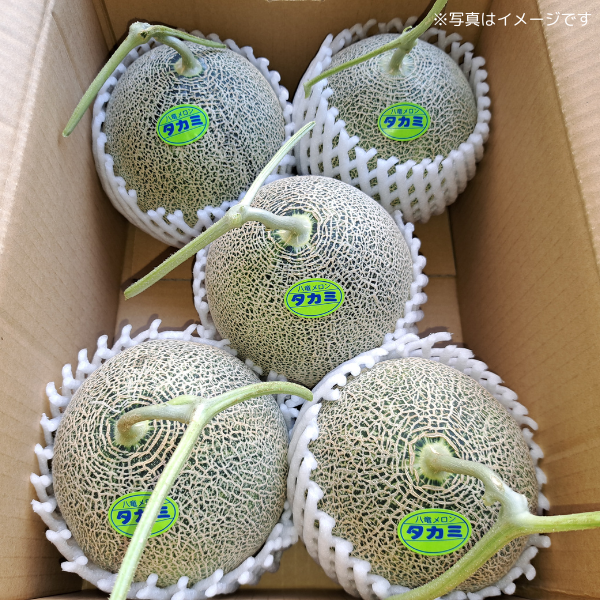 ڻĮʡȬε