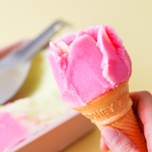 ���������åȡ��֥롼������