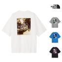 25-26   Ρե THE NORTH FACE 硼ȥ꡼ ե꡼饤   ƥ S/S FREERIDE SQUARE LOGO TEE T ȥåץ NT82533 