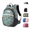 25-26 秋冬 新作 ザ・ノース・フェイス THE NORTH FACE キッズ スモール デイ KIDS SMALL DAY リュック バックパック NMJ72360 キッズ|リュック・バックパッ