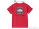  SALE Ρե THE NORTH FACE å ȥɥ顼 硼ȥ꡼ Х   ƥ KIDS TODDLER S/S BANDANA SQUARE LOGO TEE T ȥåץ NTT32546 å