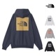 ������ �����Ρ������ե����� THE NORTH FACE ���㥫���� �Хå� �������� ���� �ա��ǥ��� JACQUARD BACK SQUARE LOGO HOODIE �ѡ����� �������å� NT62437 ���