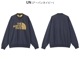  Ρե THE NORTH FACE 㥫 ϡ ɡ 롼 JACQUARD HALF DOME CREW å ȥåץ NT62438 