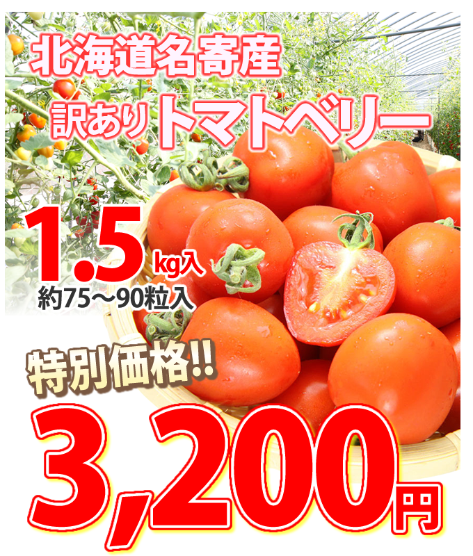 6_000000000306.png?1678209903