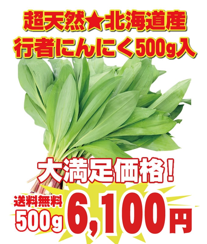 送料無料）超天然北海道産行者にんにく（アイヌネギ）