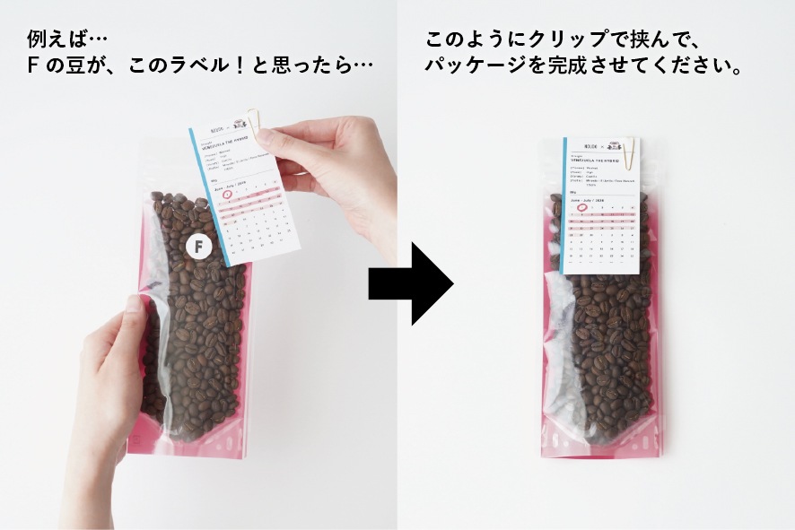 NOUDO×珈琲大学　３大原種+１ コンプリートセット