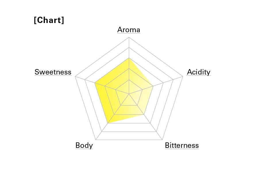 BRAZIL / ブラジル