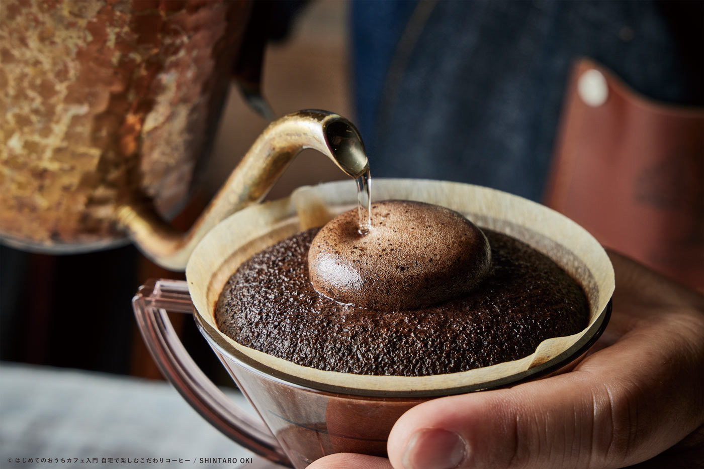 【定期購入/第2金曜発送】NOUDO ADVANCED COURSE / ノウド アドバンストコース