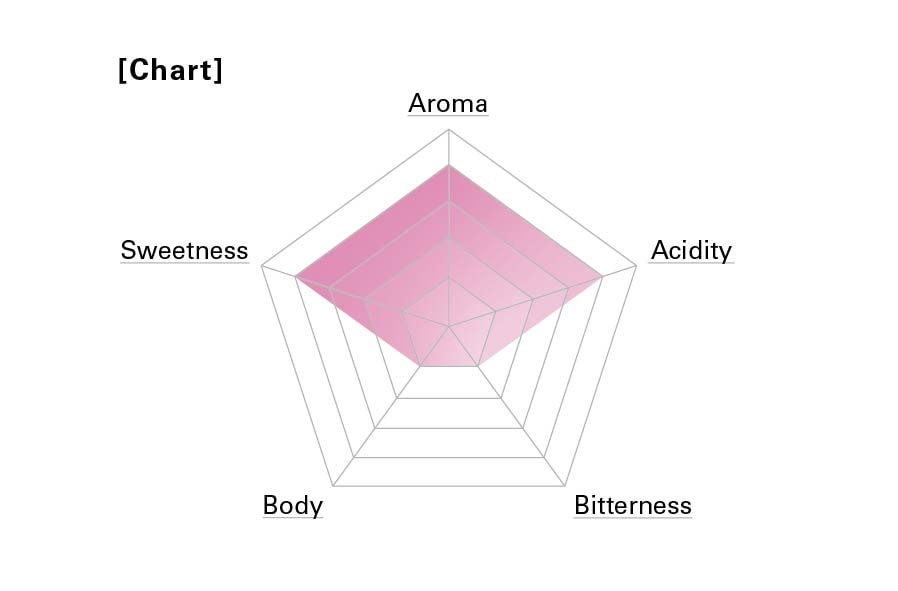 12.5発送ETHIOPIA NATURAL / エチオピア ナチュラル