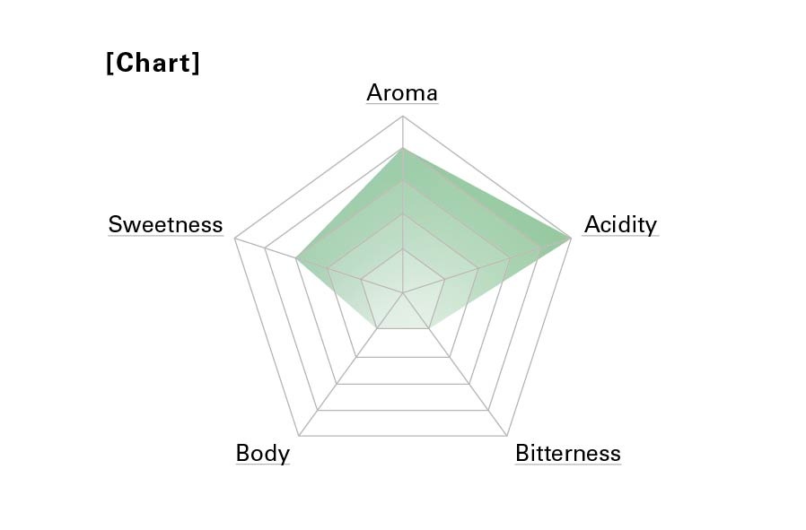 11.28発送ETHIOPIA WASHED / エチオピア ウォッシュ