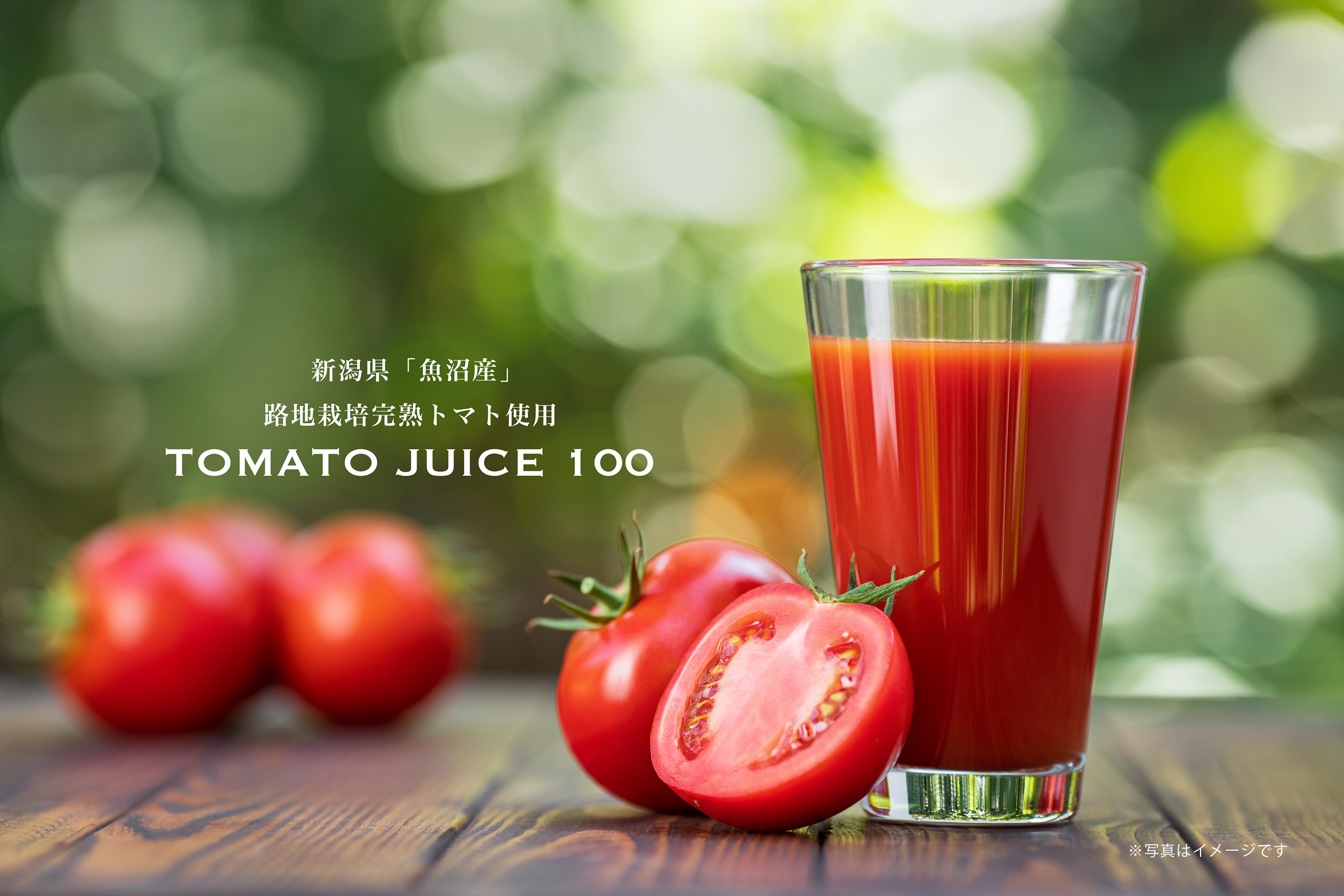 【化粧箱｜ギフト】無塩トマトジュース