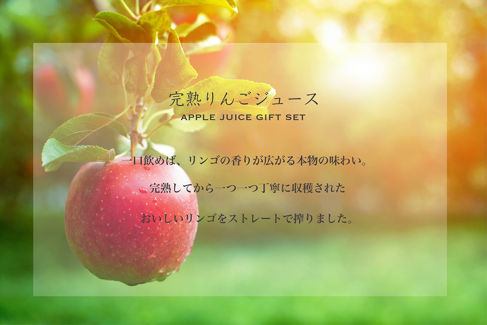りんごジュース ギフトセット｜有限会社いち粒｜ICHIRYU Online Store