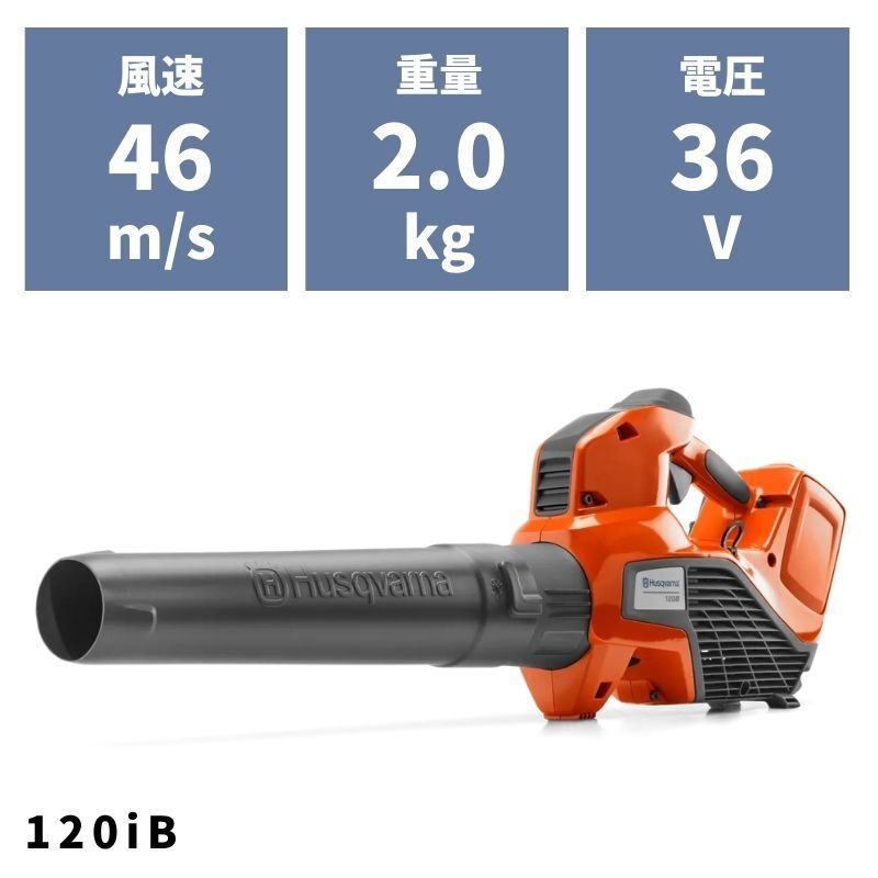 長ネギ 白ねぎ（長ネギ・根深） 2〜3本1束 大分・九州産 : おおつる青果