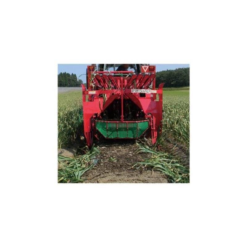 むらさき園さん専用 北島園芸オリジナル】 八重咲きニチニチソウ・ミラシリーズ 『アクア