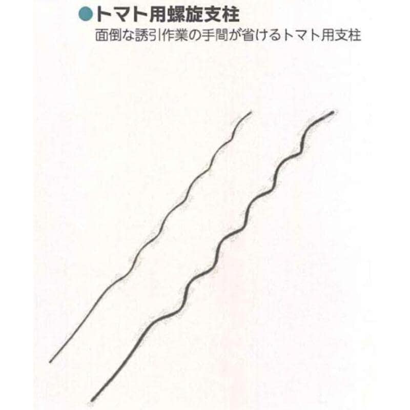 トマト用螺旋支柱 園芸支柱 25セット 13 ×2100mm シンセイ 13 ×2100mm 4582193315476