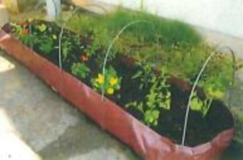 北信帆布 A 家庭菜園資材 畝シート 本体 1台 自立座金 22本 600×3000×250