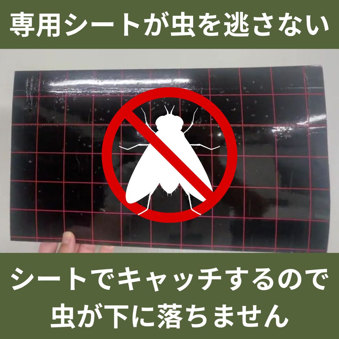 捕虫器用粘着式シート10枚入り FH001｜ FH6803用 ステンレス HACCP 