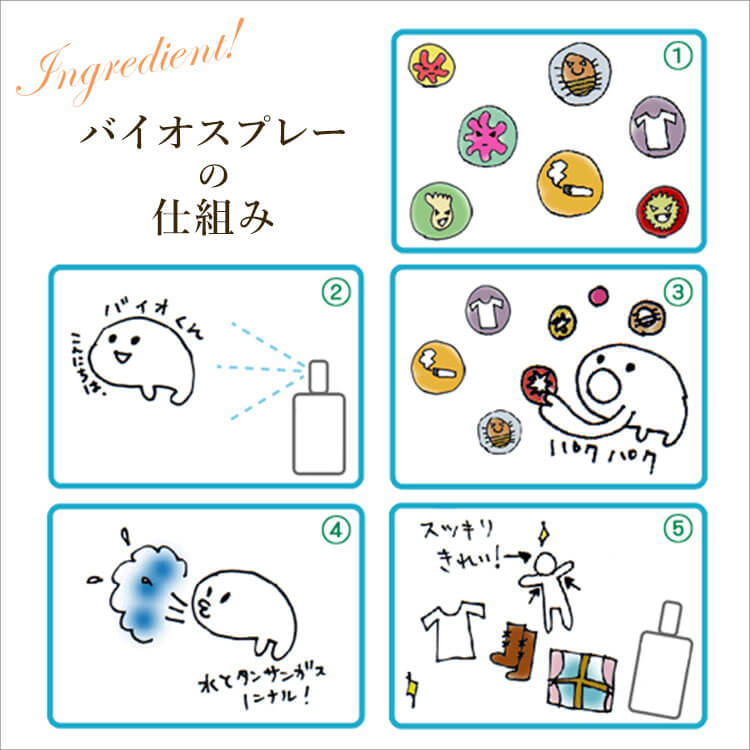 グリーンミスティの商品画像 11