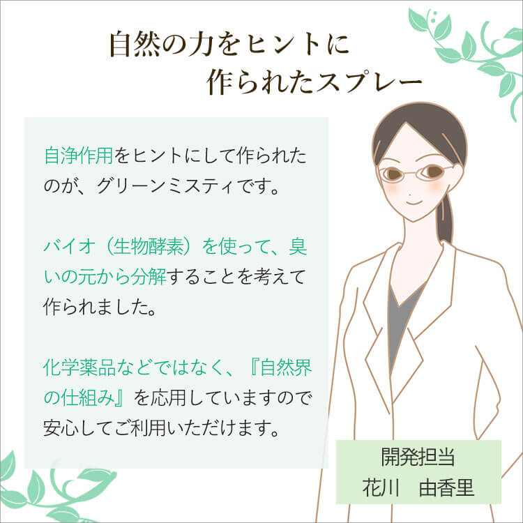 グリーンミスティの商品画像 13