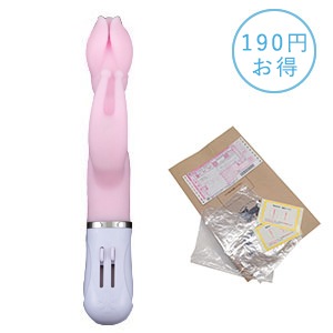 【SET】ピンクブルームＧ＋グッズ回収キットの画像 2