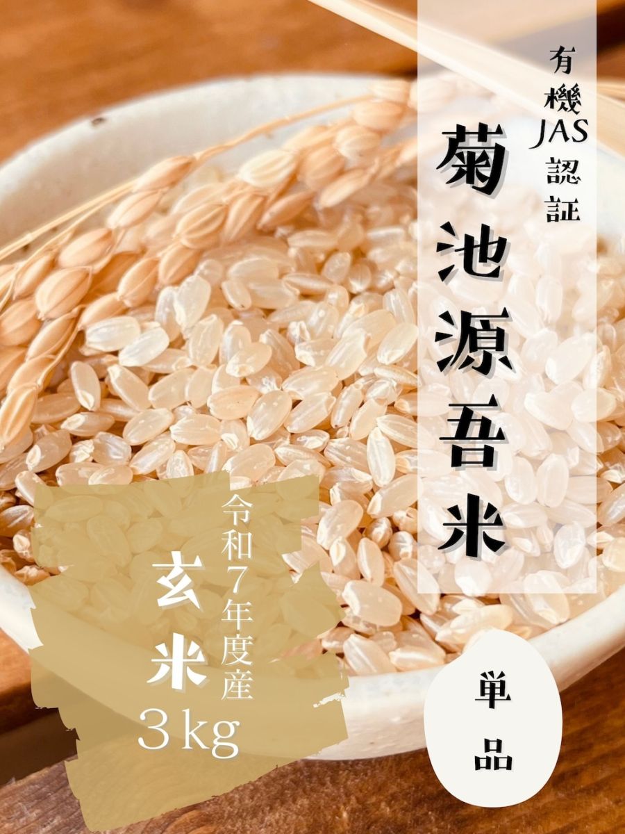 令和７年度産【新米】　玄米　３kg｜菊池源吾米(有機JAS)