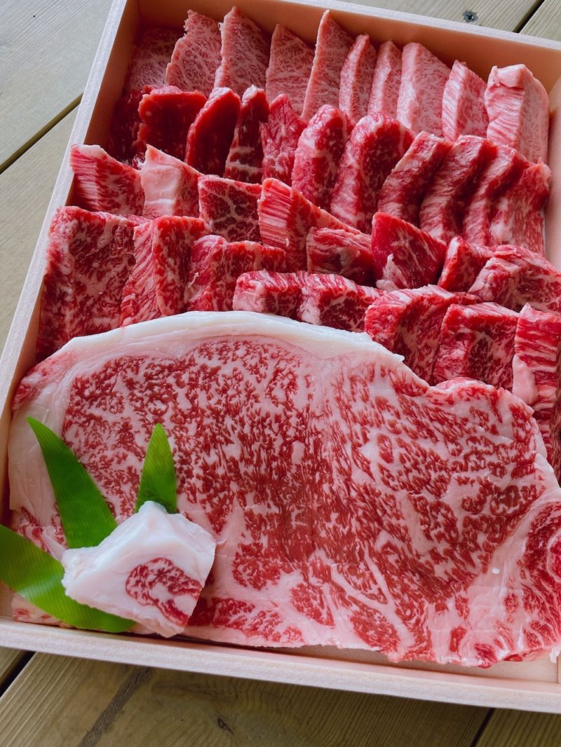 ステーキ＆焼肉セット（600g）｜菊池源吾牛