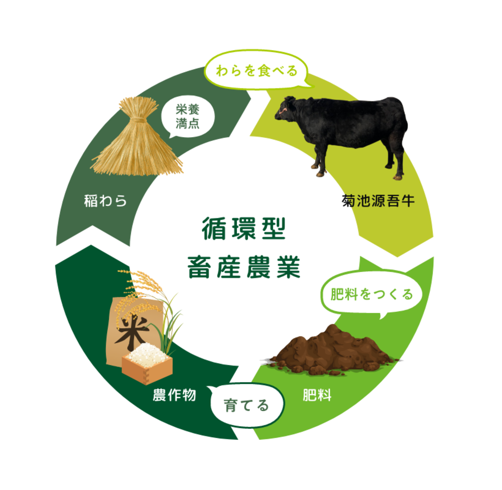 令和7年度産【新米】 白米 3kg|菊池源吾米(有機JAS)
