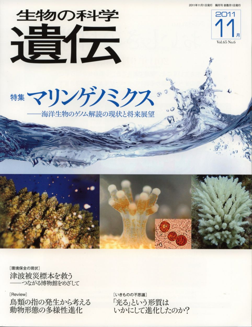 生物の科学　遺伝　2011年11月発行号　Vol.65 No.6　特集　マリンゲノミクスー海洋生物のゲノム解読の現状と将来展望