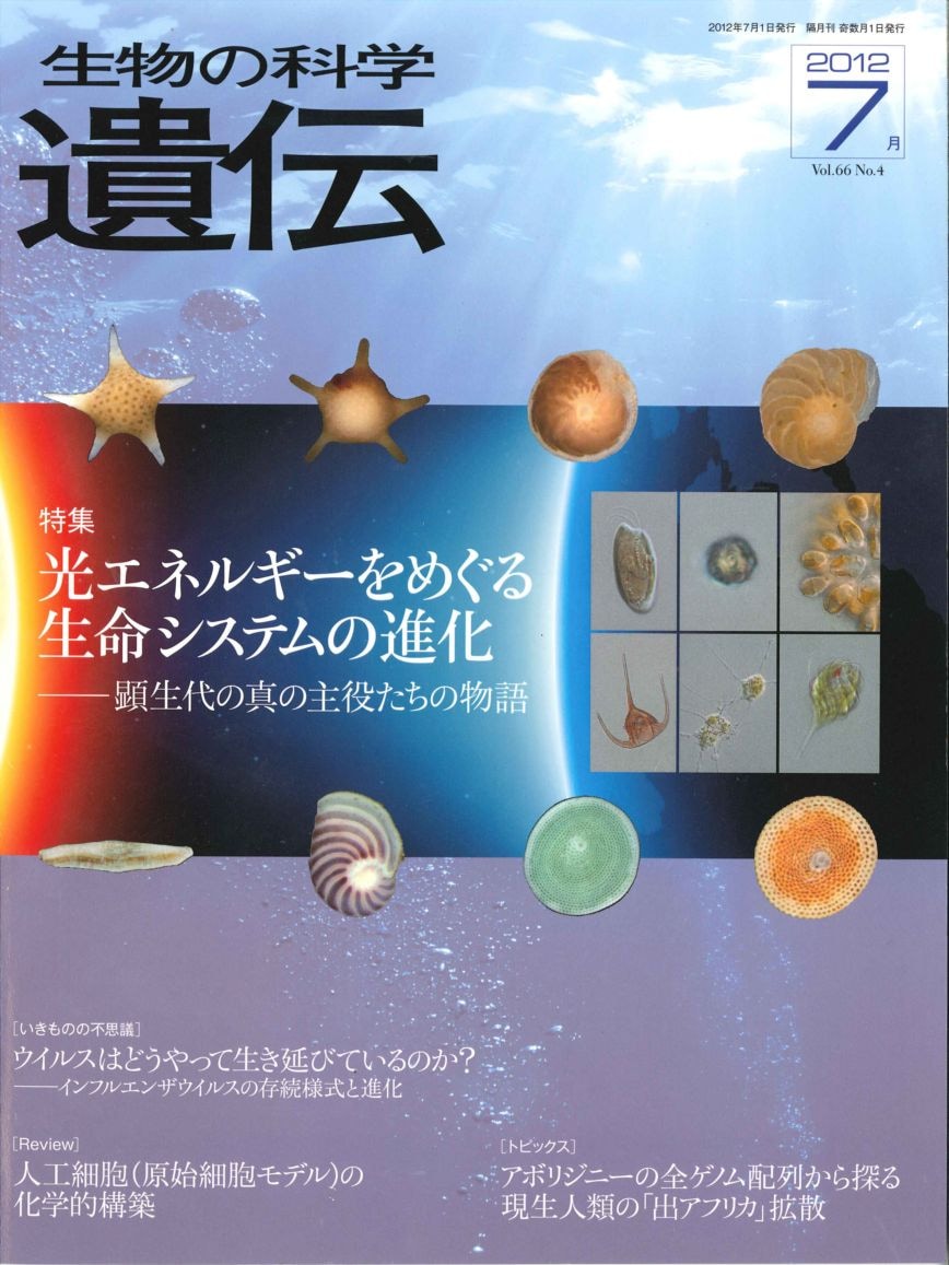 生物の科学　遺伝　2012年7月発行号　Vol.66 No.4　特集　光エネルギーをめぐる生命システムの進化―顕生期の真の主役たちの物語