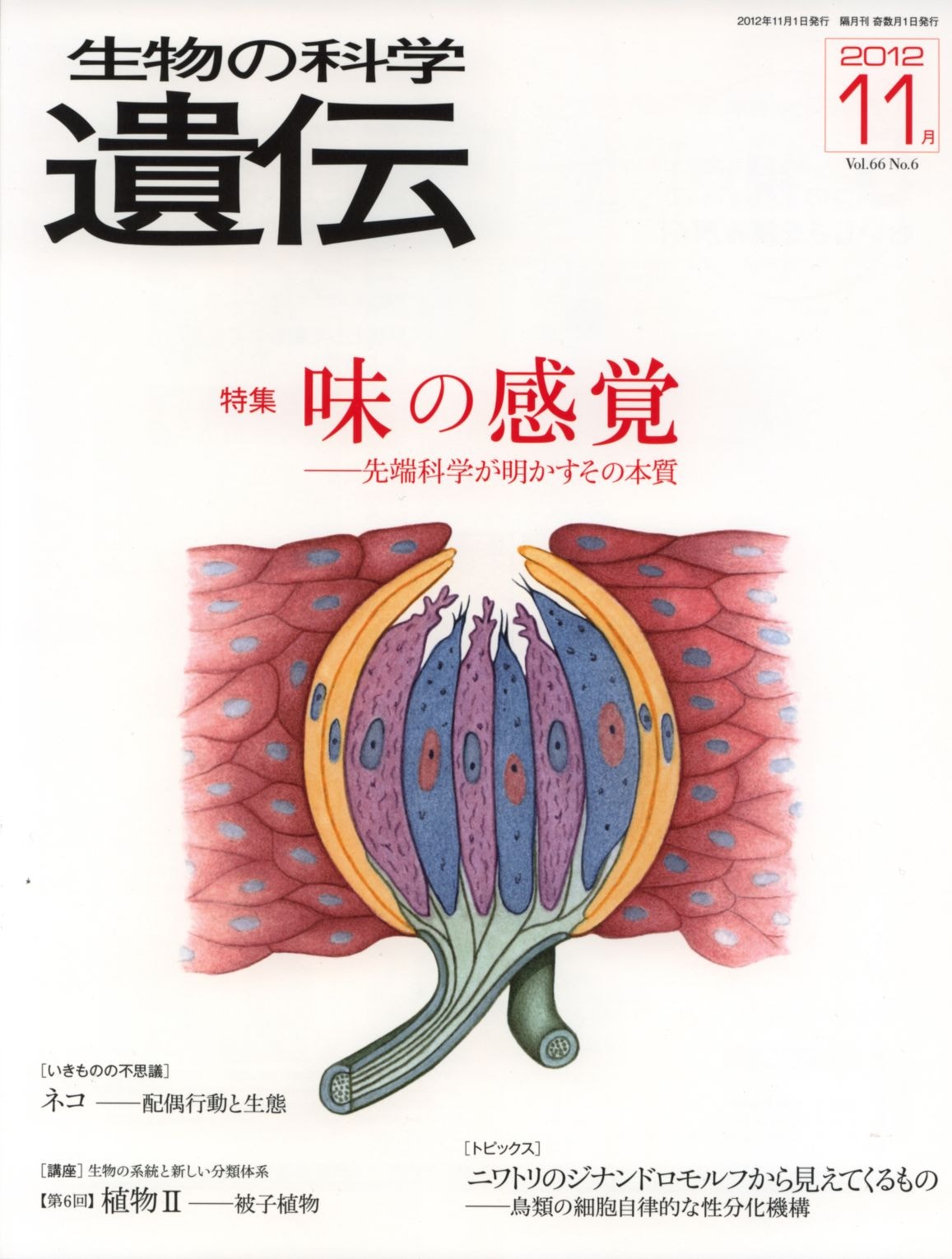 生物の科学　遺伝　2012年11月発行号　Vol.66 No.6　特集　味の感覚―先端科学が明かすその本質