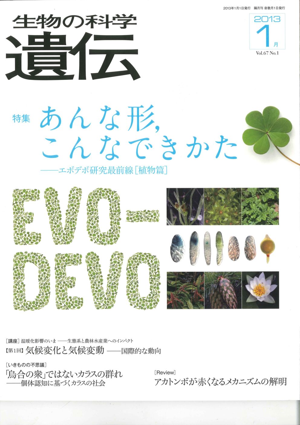 生物の科学　遺伝　2013年1月発行号　Vol.67 No.1　特集　あんな形・こんなできかた―エボデボ研究最前線（植物篇）