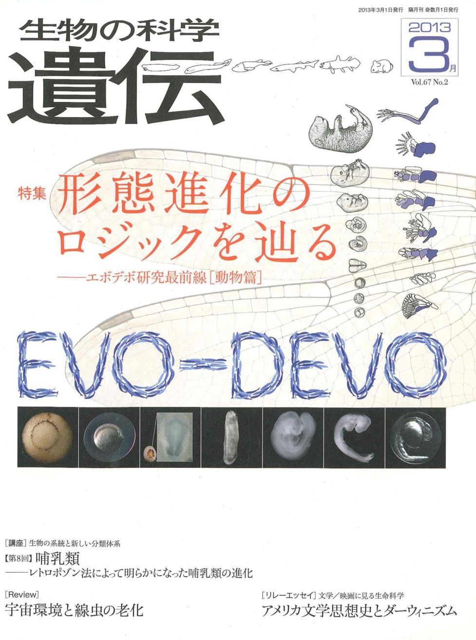 生物の科学　遺伝　2013年3月発行号　Vol.67 No.2　特集　形態進化のロジックを辿る―エボデボ研究最前線（動物篇）